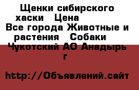 Щенки сибирского хаски › Цена ­ 12 000 - Все города Животные и растения » Собаки   . Чукотский АО,Анадырь г.